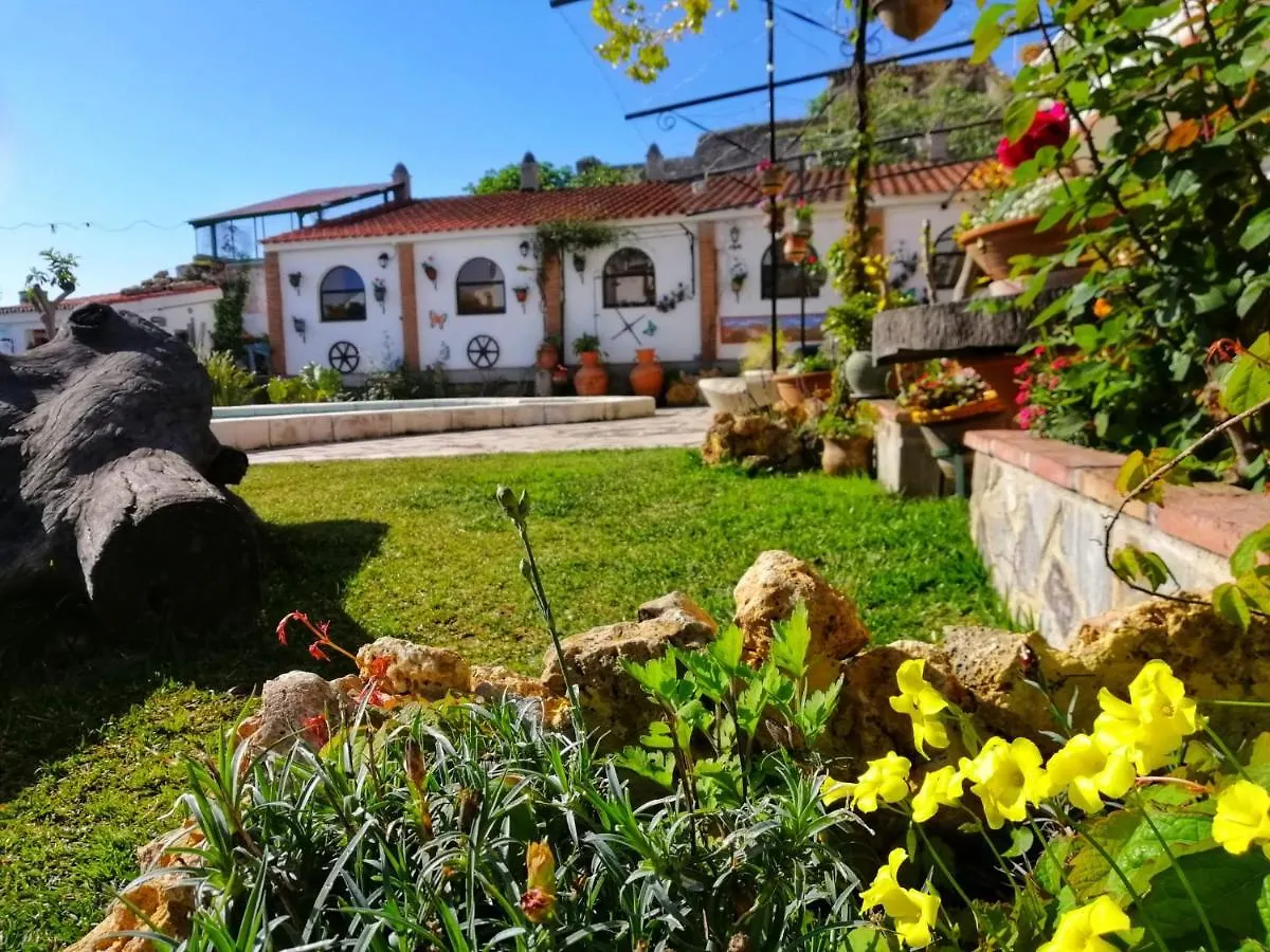 Casa Proyecto Pepe Bravo Bed and Breakfast Alozaina