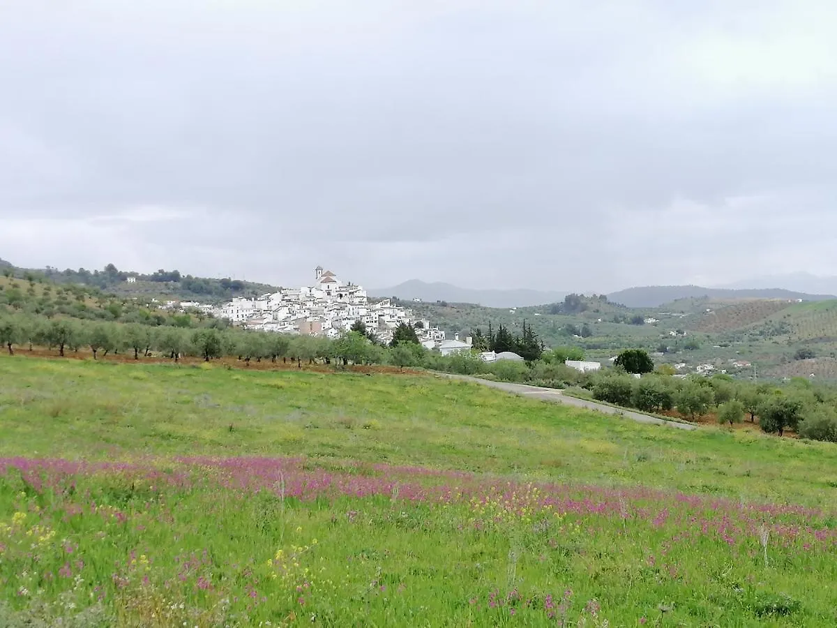 Casa Proyecto Pepe Bravo Bed and Breakfast Alozaina