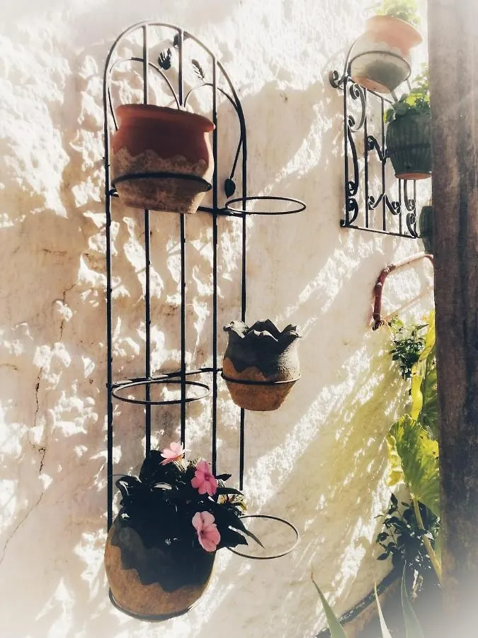 Bed & Breakfast Casa Proyecto Pepe Bravo Bed and Breakfast Alozaina