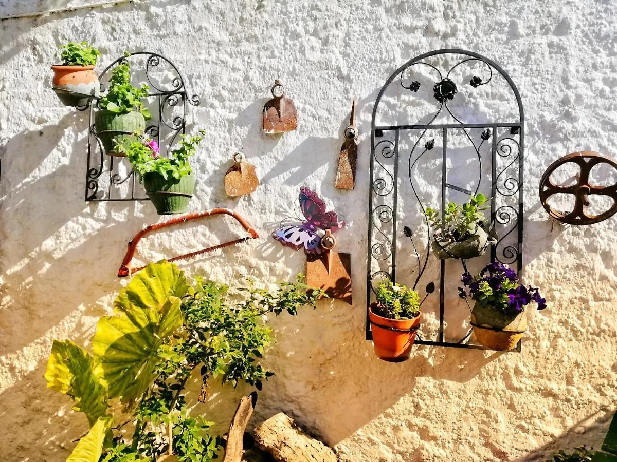 Casa Proyecto Pepe Bravo Bed and Breakfast Alozaina Bed & Breakfast