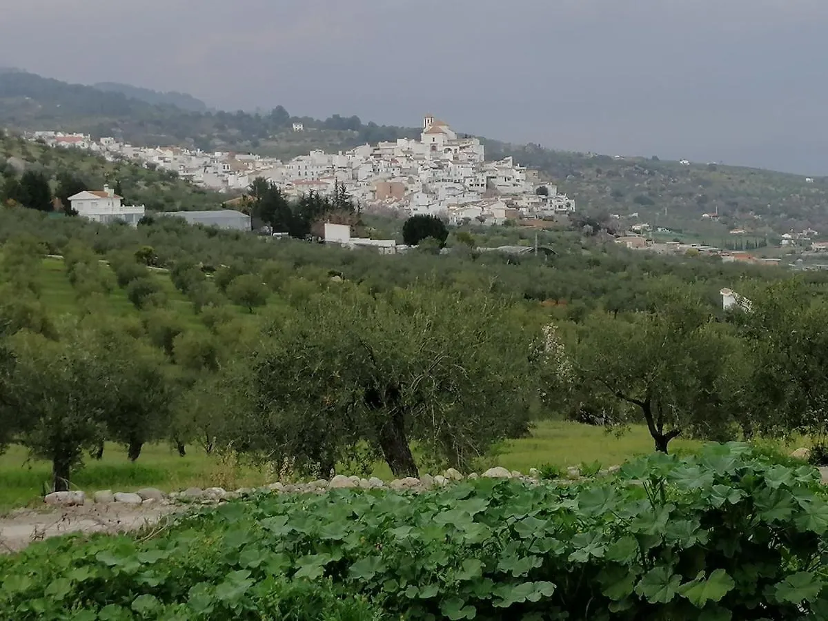 Bed & Breakfast Casa Proyecto Pepe Bravo Bed and Breakfast Alozaina Spanien